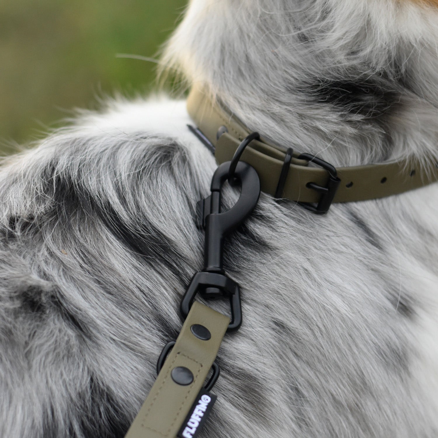 Hundehalsband aus BioThane - 5-Fach verstellbare - Größe L - Halsumfang 44 - 54 cm - Oliv