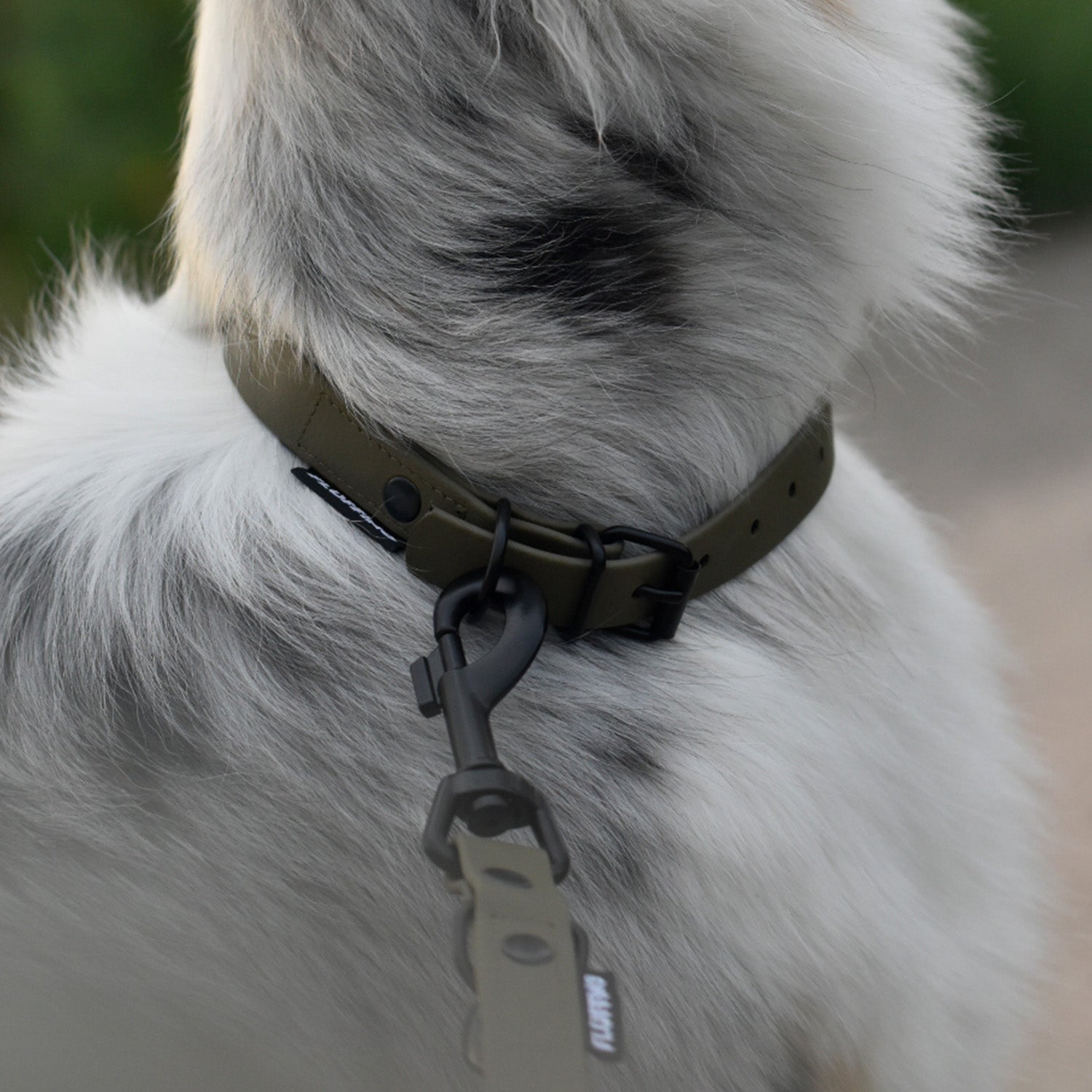 Hundehalsband aus BioThane - 5-Fach verstellbare - Größe S - Halsumfang 27 - 34 cm - Oliv