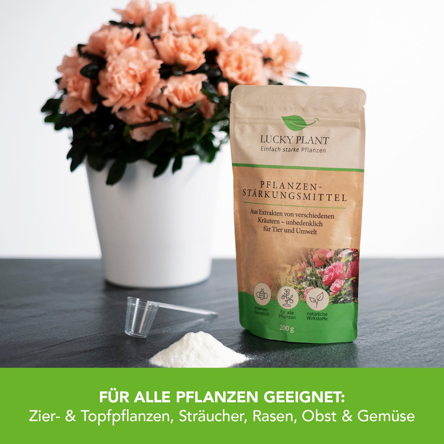 Pflanzenstärkung Pulver - 200 g