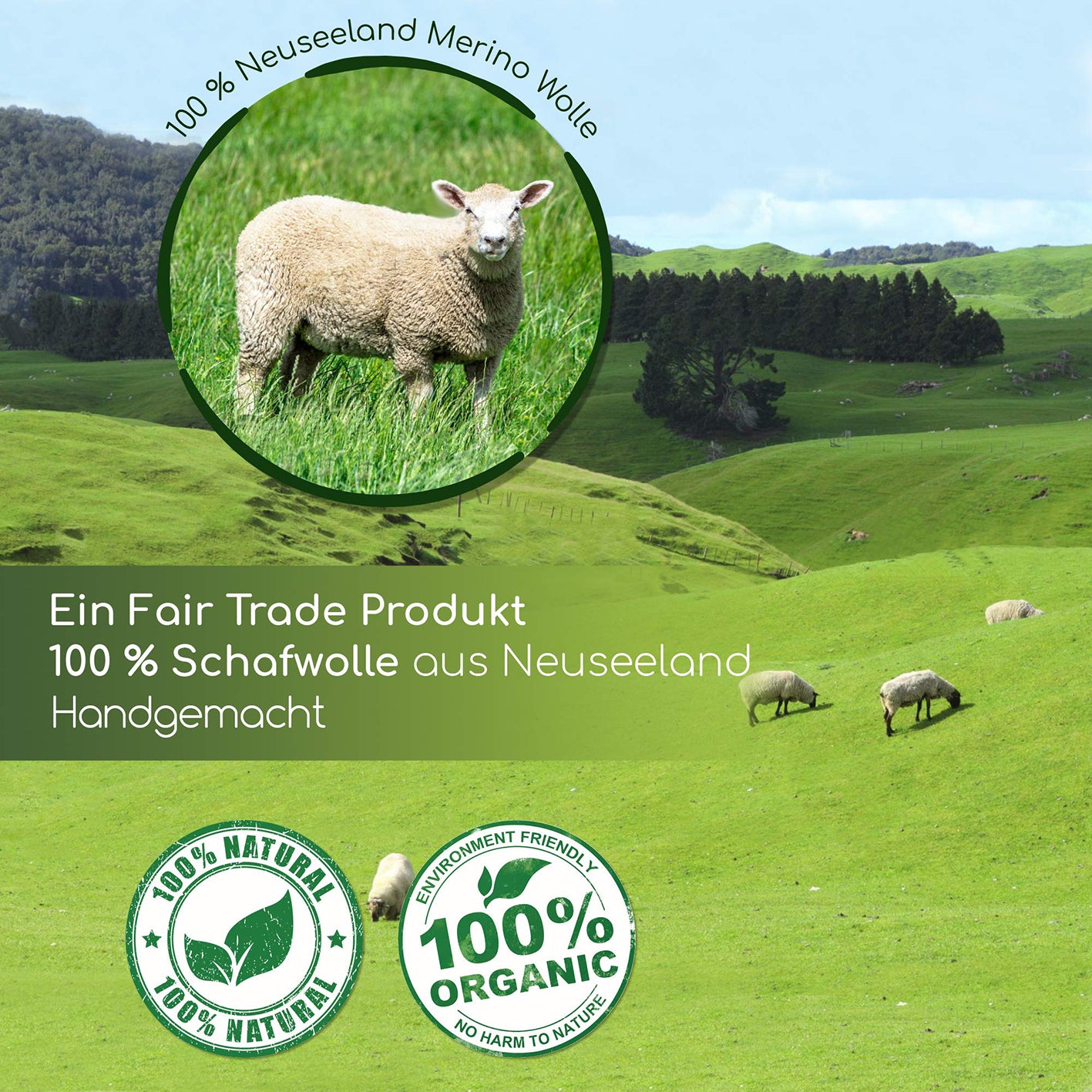 Trocknerbälle für Wäschetrockner - 6er-Set - Schafwolle