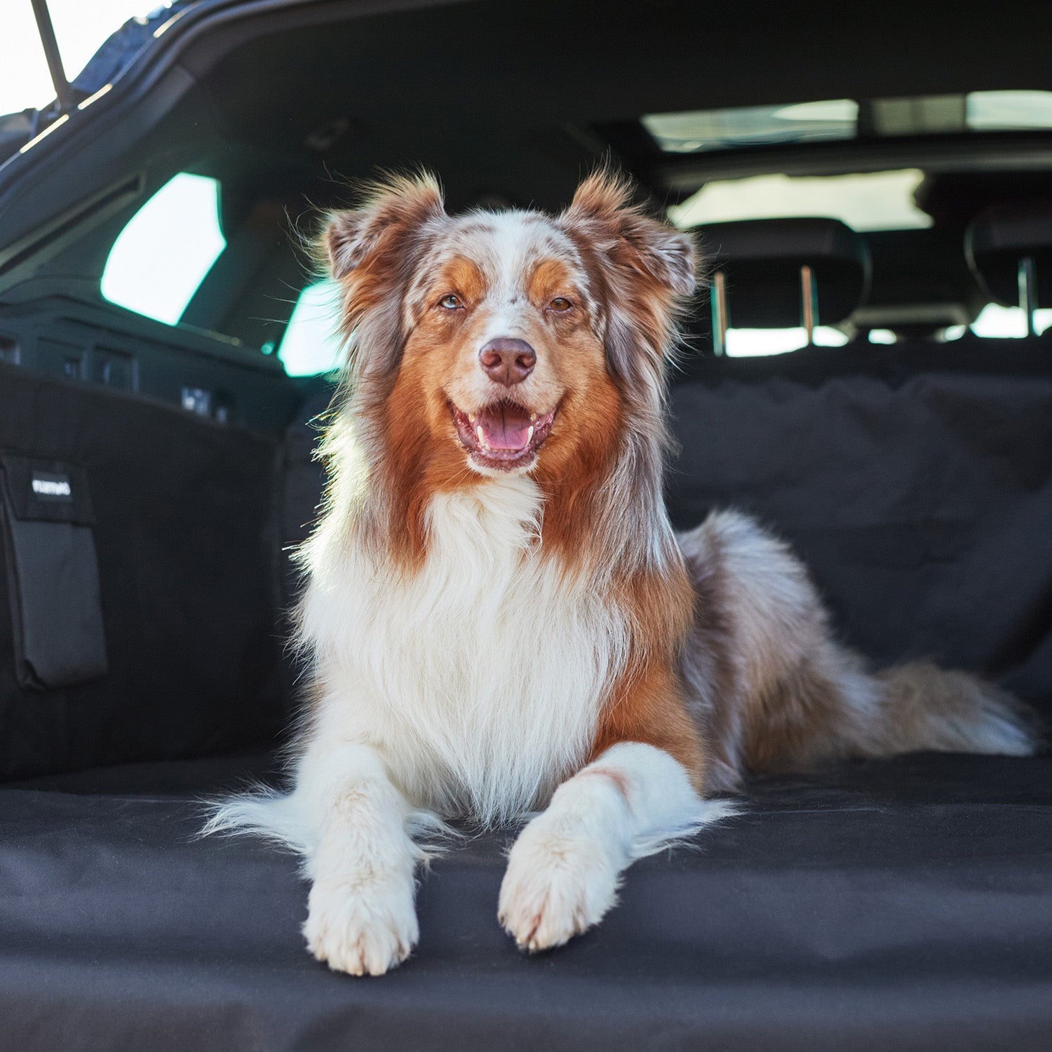 Kofferraumschutz für Hund inkl. Seiten- & Ladekantenschutz - dunkelgrau